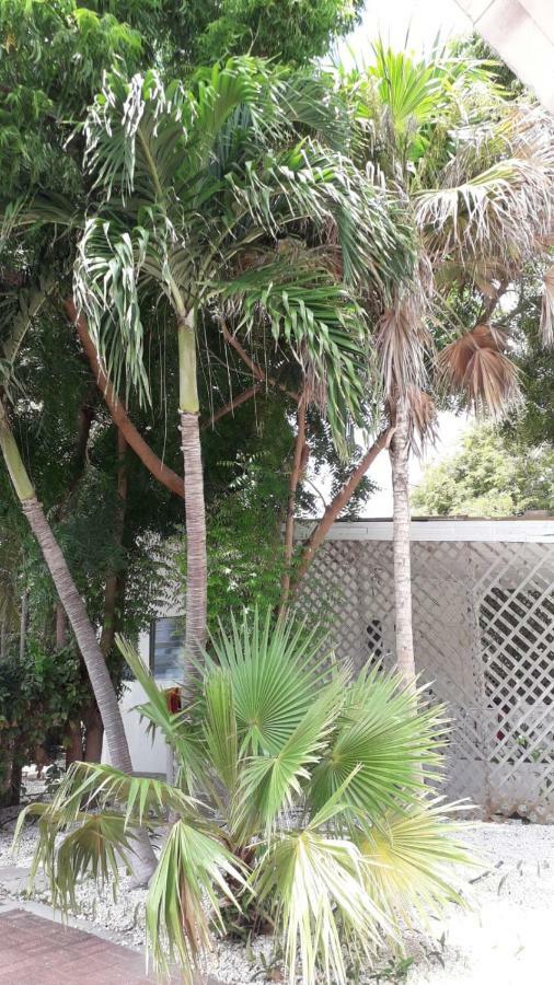 Palm Trees Apartments Willemstad Exterior foto